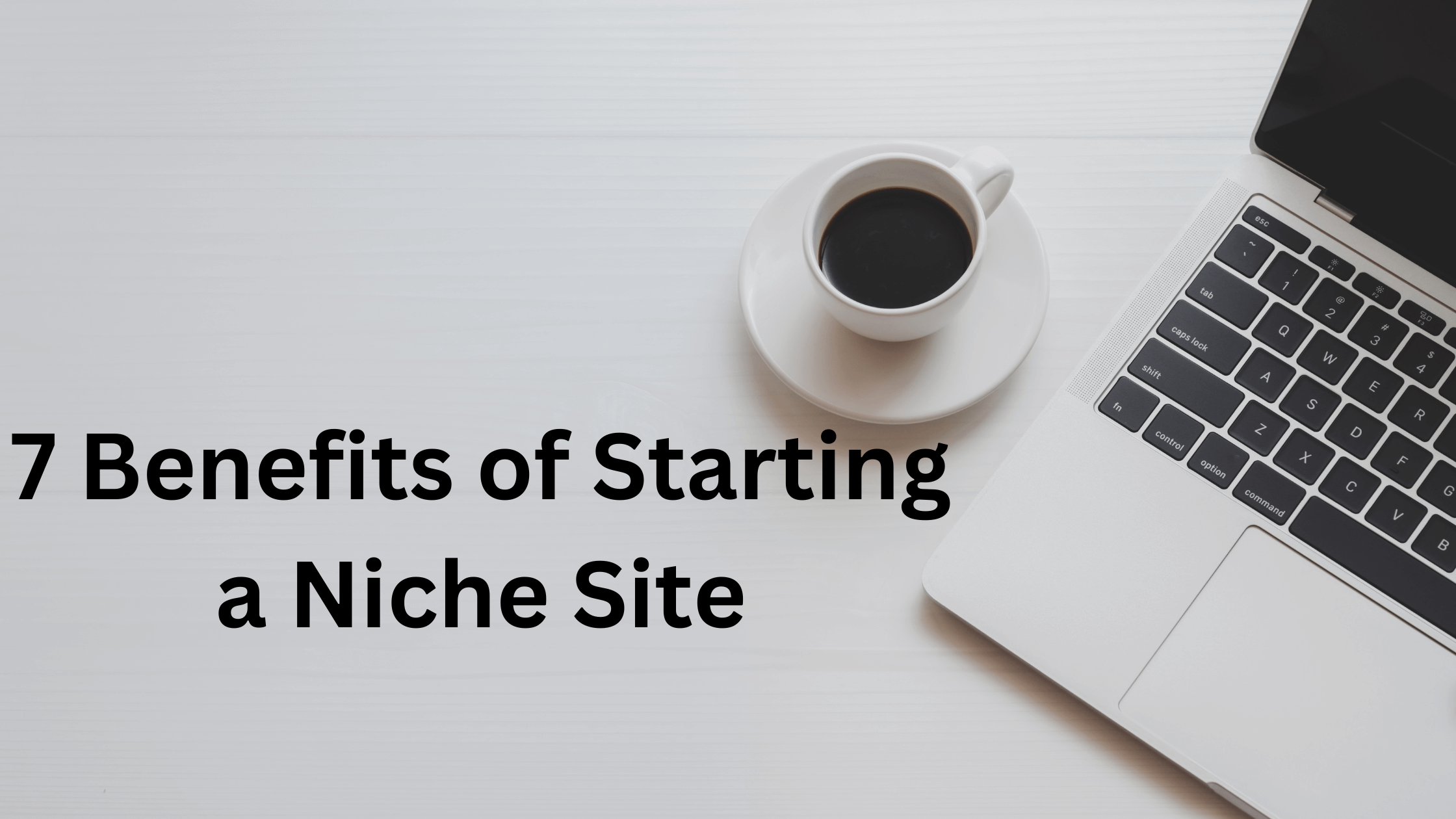7 Benefits of Starting a Niche Site