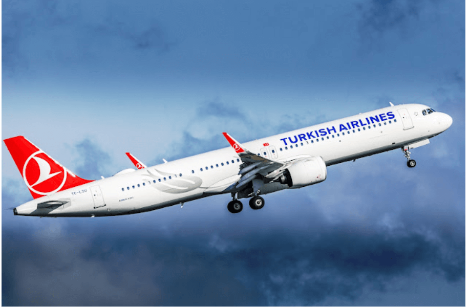 Earn miles by flying with Turkish Airlines partners